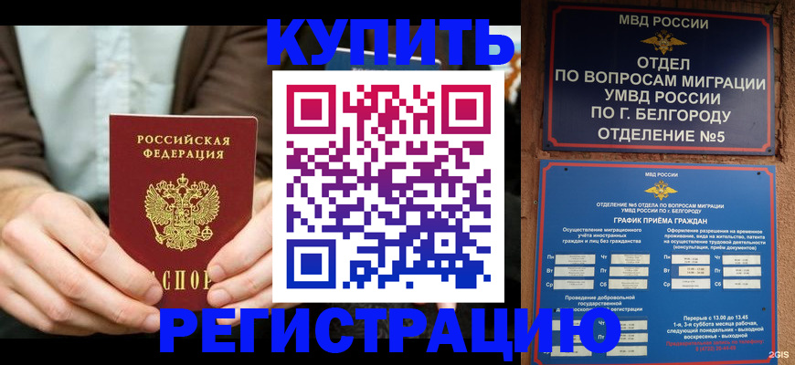 прописка 2025 в Шагонаре